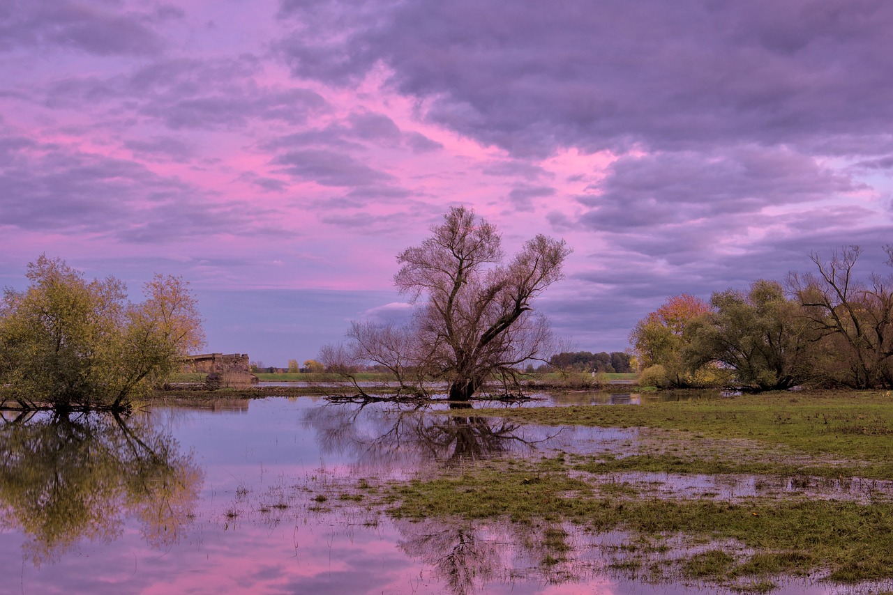 The Impact of Climate Change on Home Safety